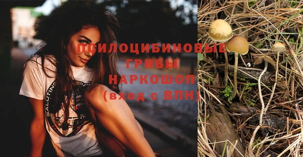 первитин Верхний Тагил