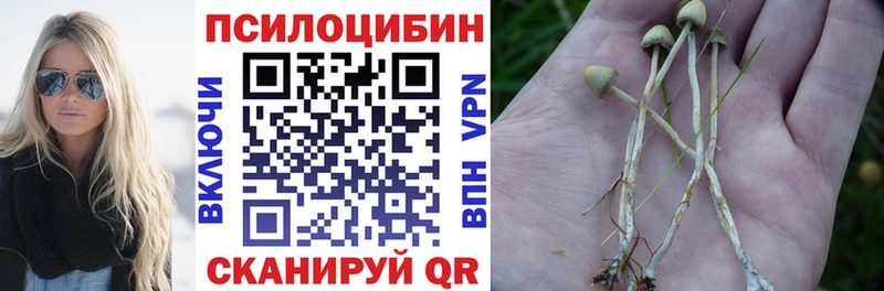 гидра вход  Владикавказ  Галлюциногенные грибы мицелий 